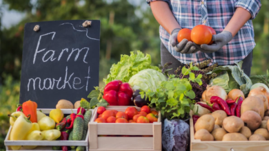 Farm Near By Me Guide to Finding Local Fresh Produce and Activities