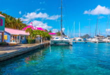 BVI Registered Companies Overview and Compliance Guide 2025
