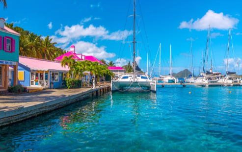 BVI Registered Companies Overview and Compliance Guide 2025