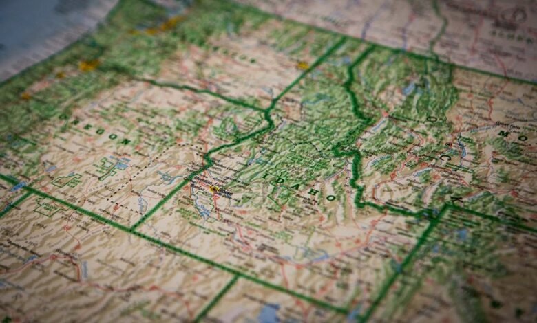 dodear website feature overview