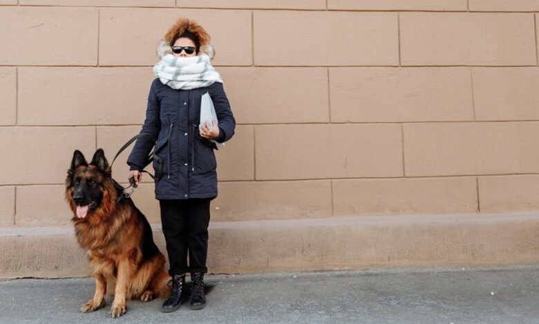 comprehensive fashionisk services guide