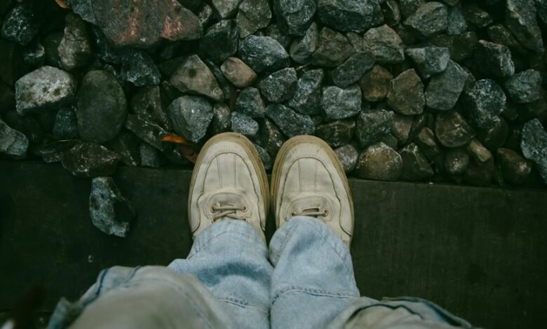 fashion platform overview details