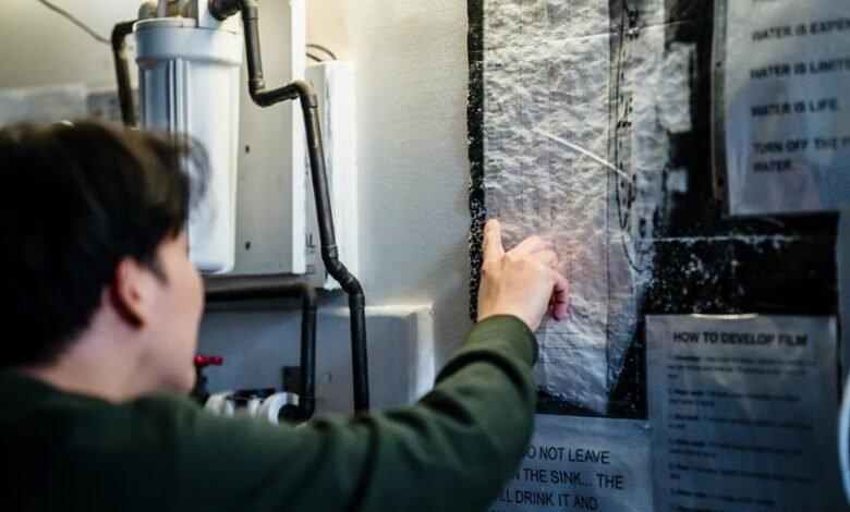 filmyhunk net informational guide