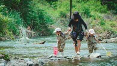 guide to freepornstreams website