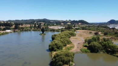 live score updates overview