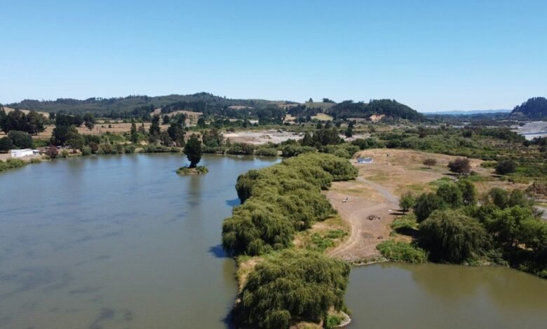 live score updates overview