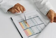 background check report summary