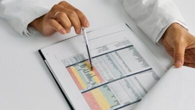 background check report summary